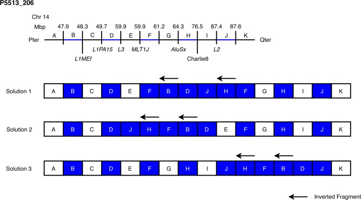 Fig 2