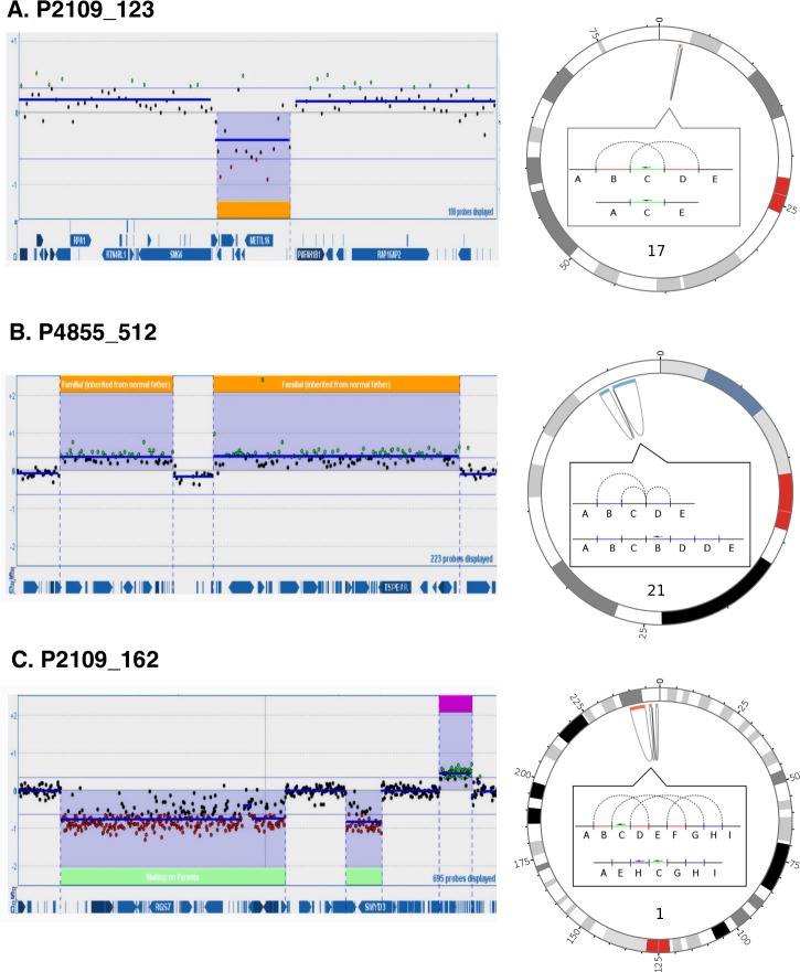 Fig 1