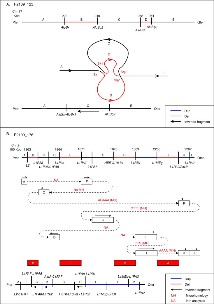 Fig 4