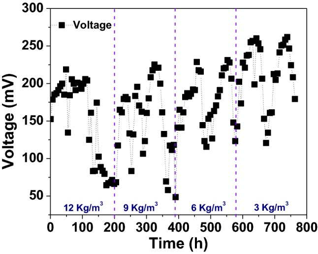 Fig. 1