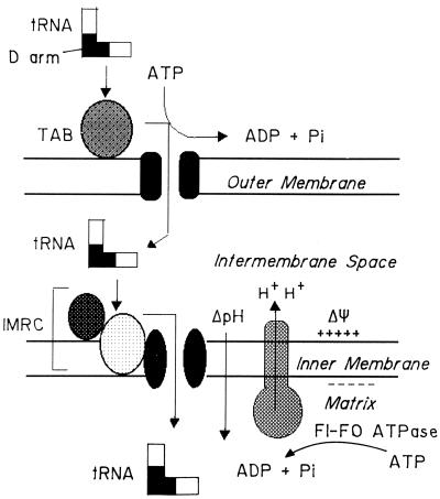 FIG. 6