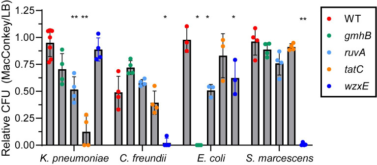 Fig 9