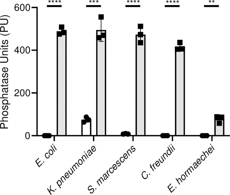 Fig 10