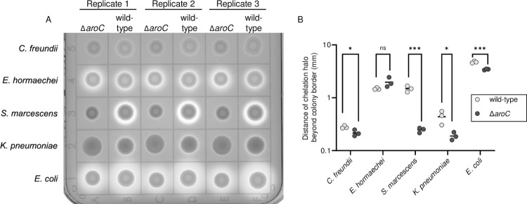 Fig 7