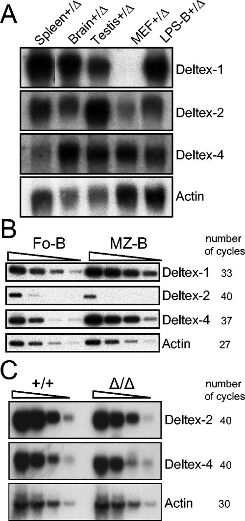 FIG. 6.