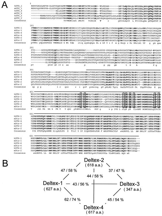 FIG. 5.