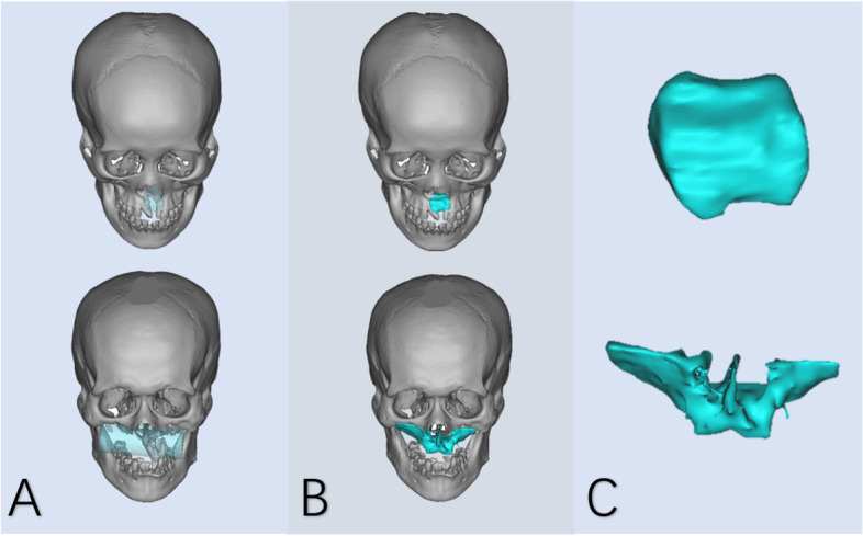 Fig. 8