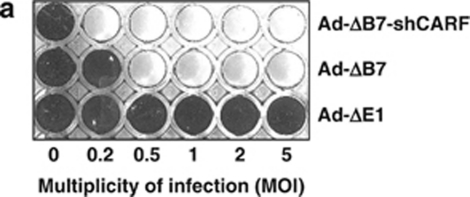 Figure 7a