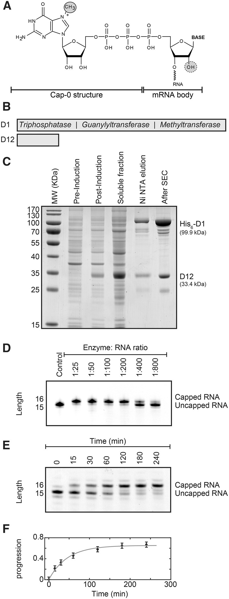 FIGURE 1.