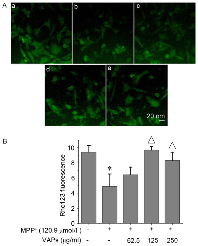 Figure 3.