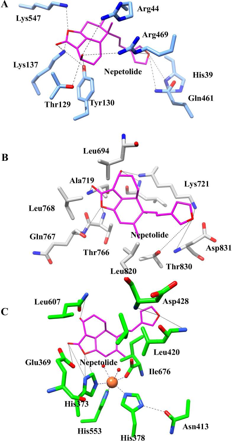 Fig. 6