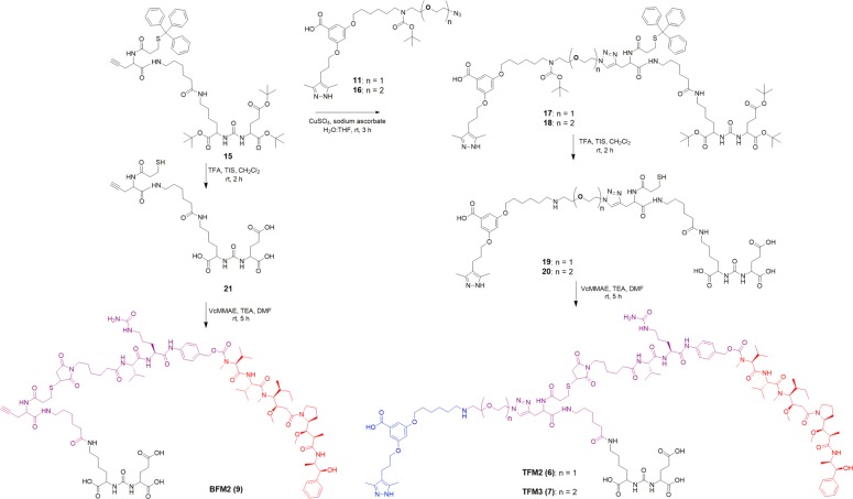 Scheme 2