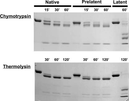 FIGURE 9.