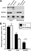 Fig 8