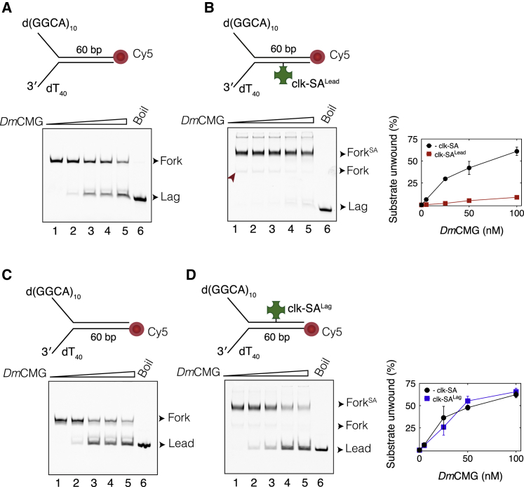 Figure 4