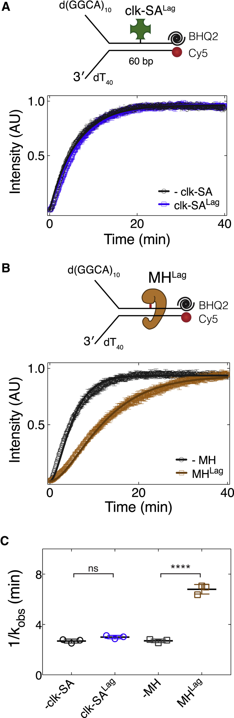 Figure 5