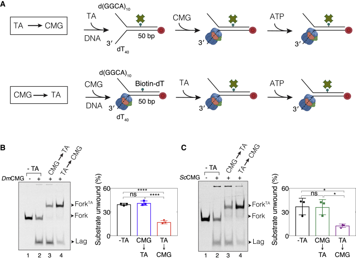 Figure 3