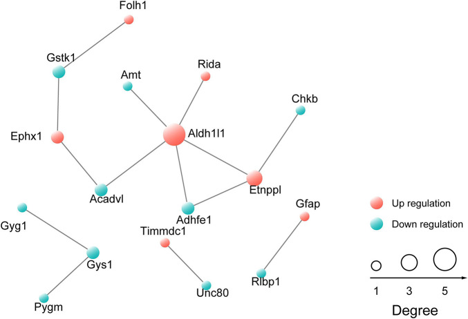 FIGURE 4