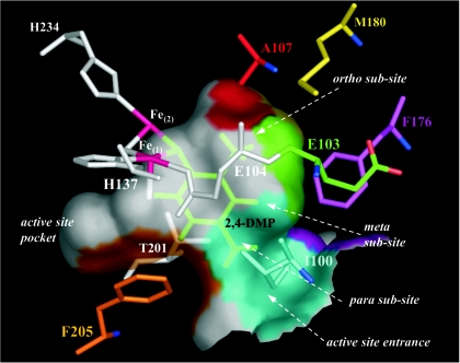 FIG. 2.