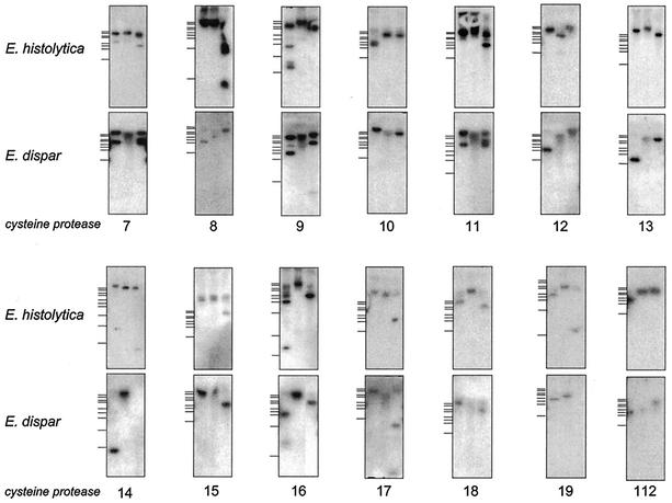 FIG. 6.