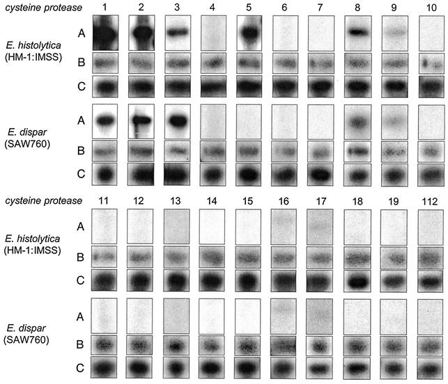 FIG. 7.