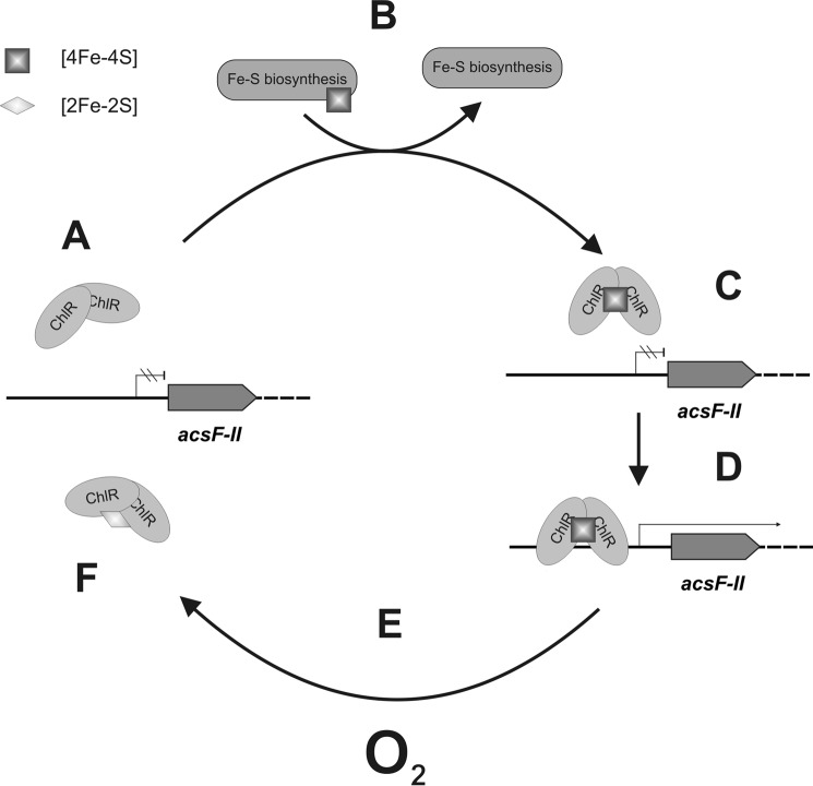 FIGURE 12.