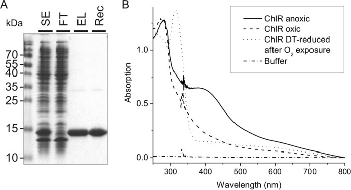 FIGURE 7.