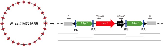 FIGURE 2