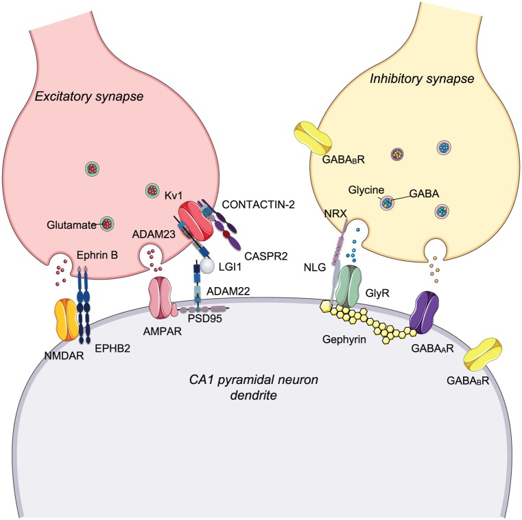 Figure 2.