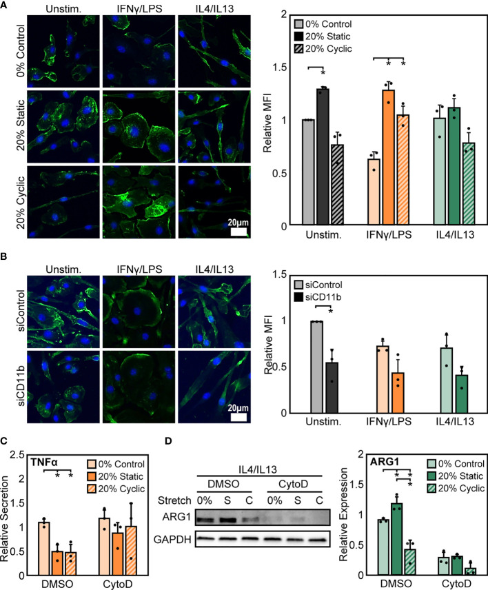 Figure 6