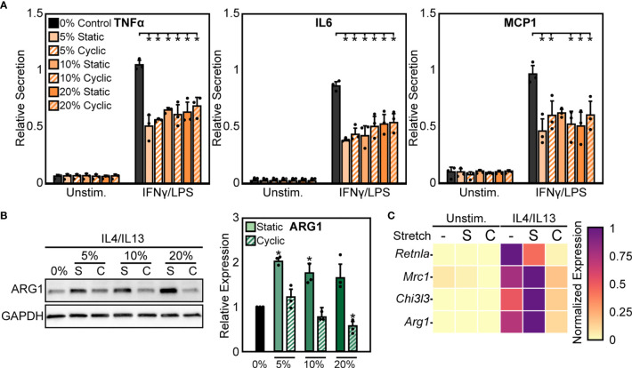 Figure 2