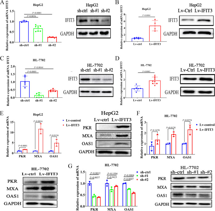 FIG 3