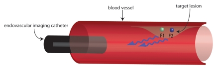 Figure 1a: