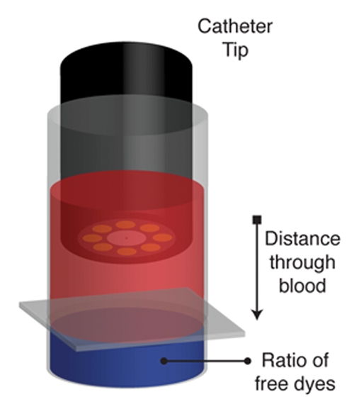 Figure 2a: