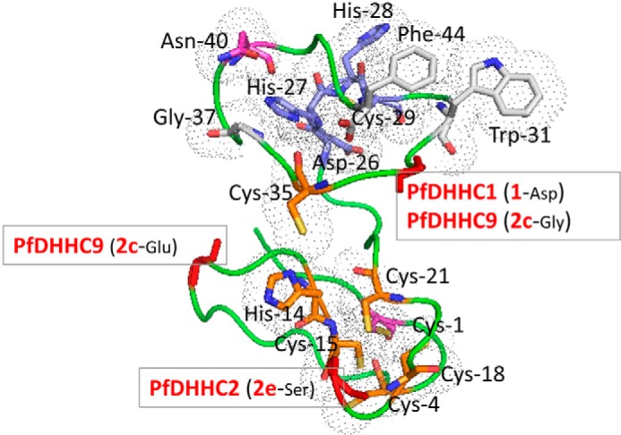 FIGURE 10.