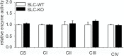 Figure 6—figure supplement 1.