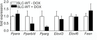 Figure 1—figure supplement 1.
