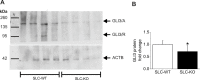 Figure 3—figure supplement 1.