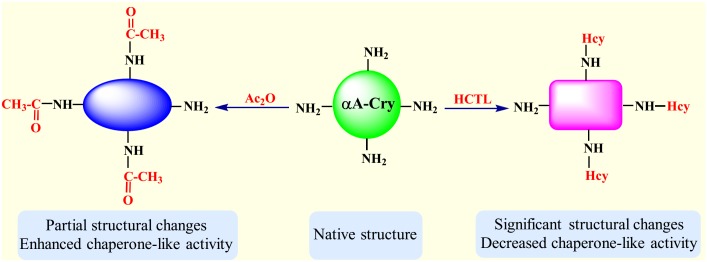 Fig 12