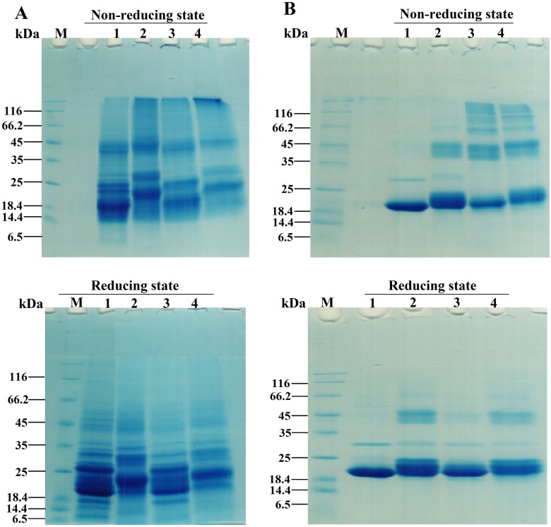 Fig 10