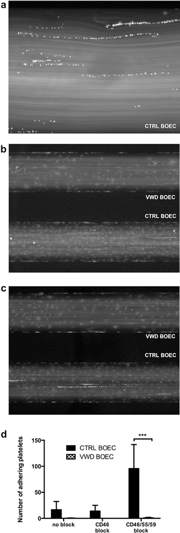 Figure 4|