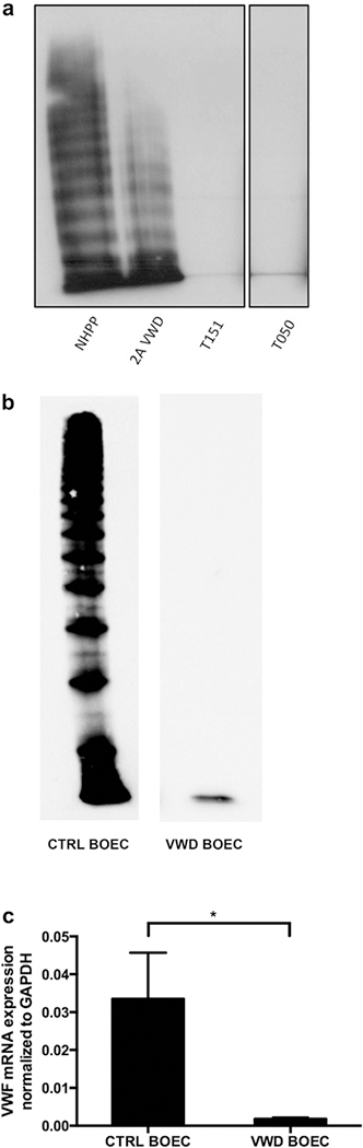 Figure 2|