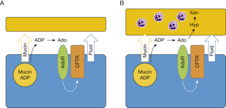 Figure 5