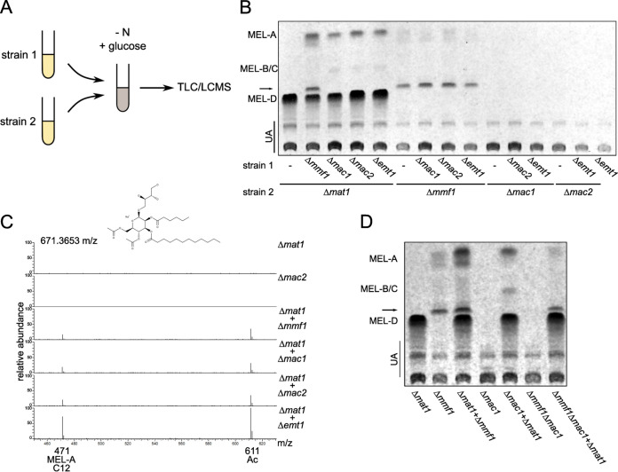 FIG 6