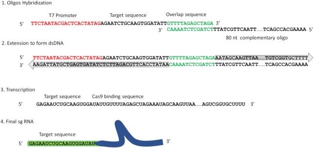 Figure 2.