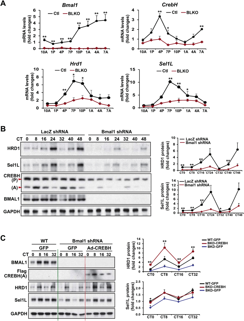 Figure 3