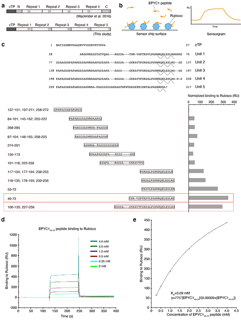 Extended Data Fig. 1