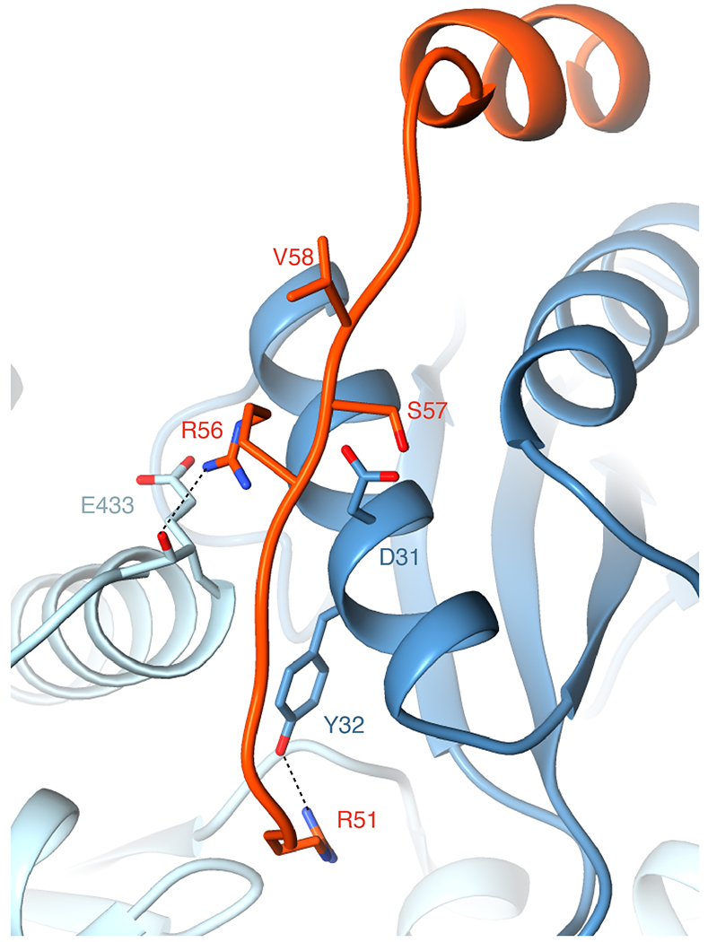 Extended Data Fig. 5