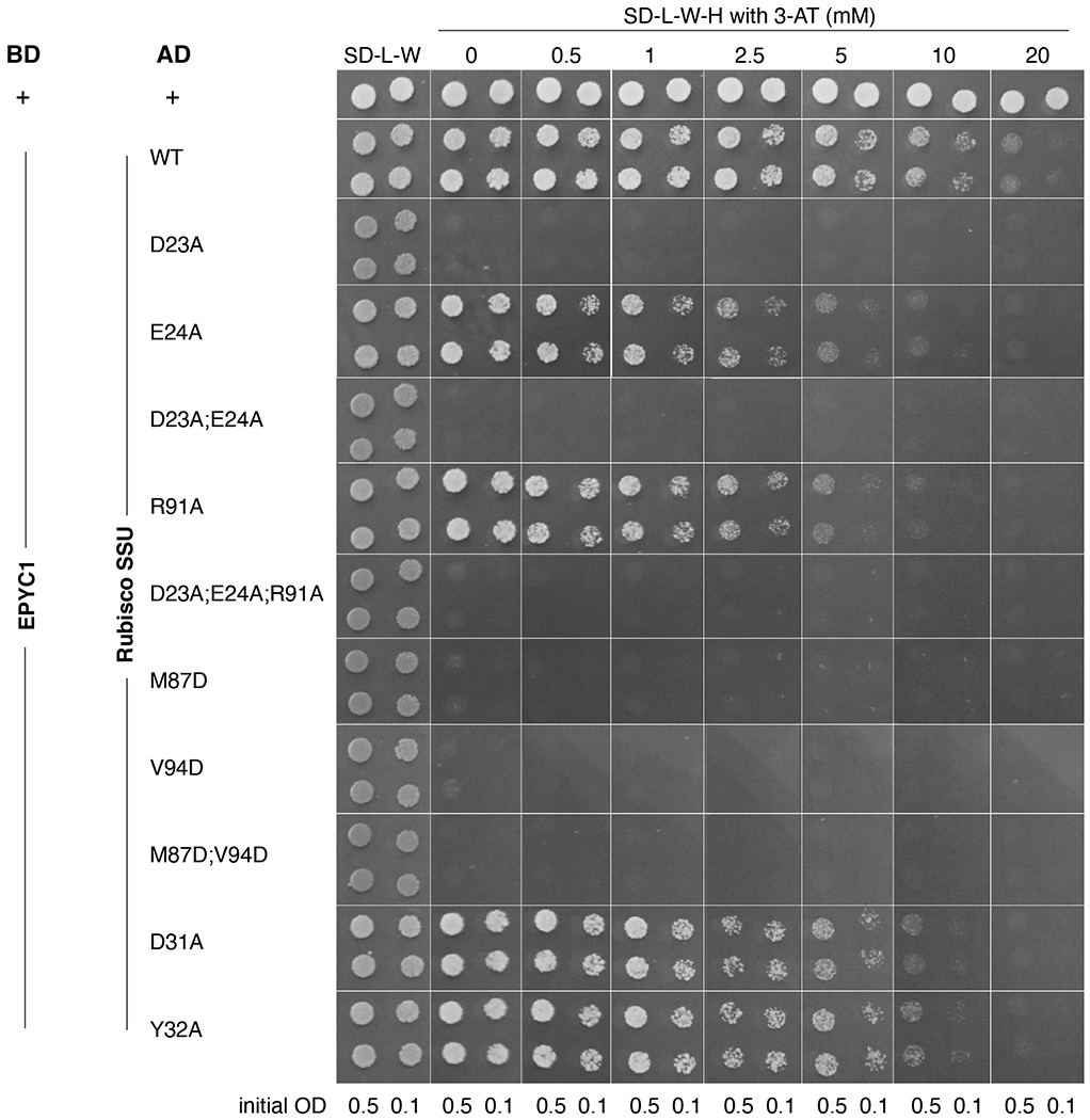 Extended Data Fig. 9