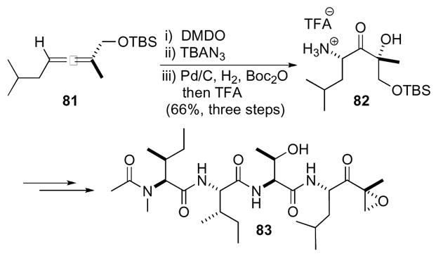 Scheme 24